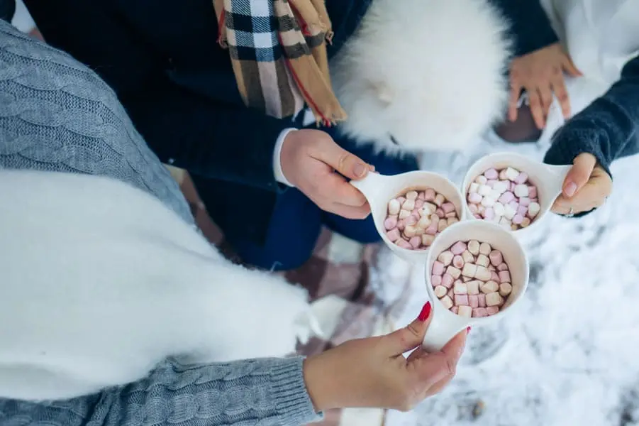 Hotel Simon Bran Romania