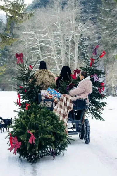 Cazare si restaurant Simon Bran cu loc de joaca in interior Hillden