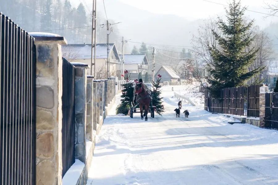 Cazare si restaurant Simon Bran cu loc de joaca in interior Hillden